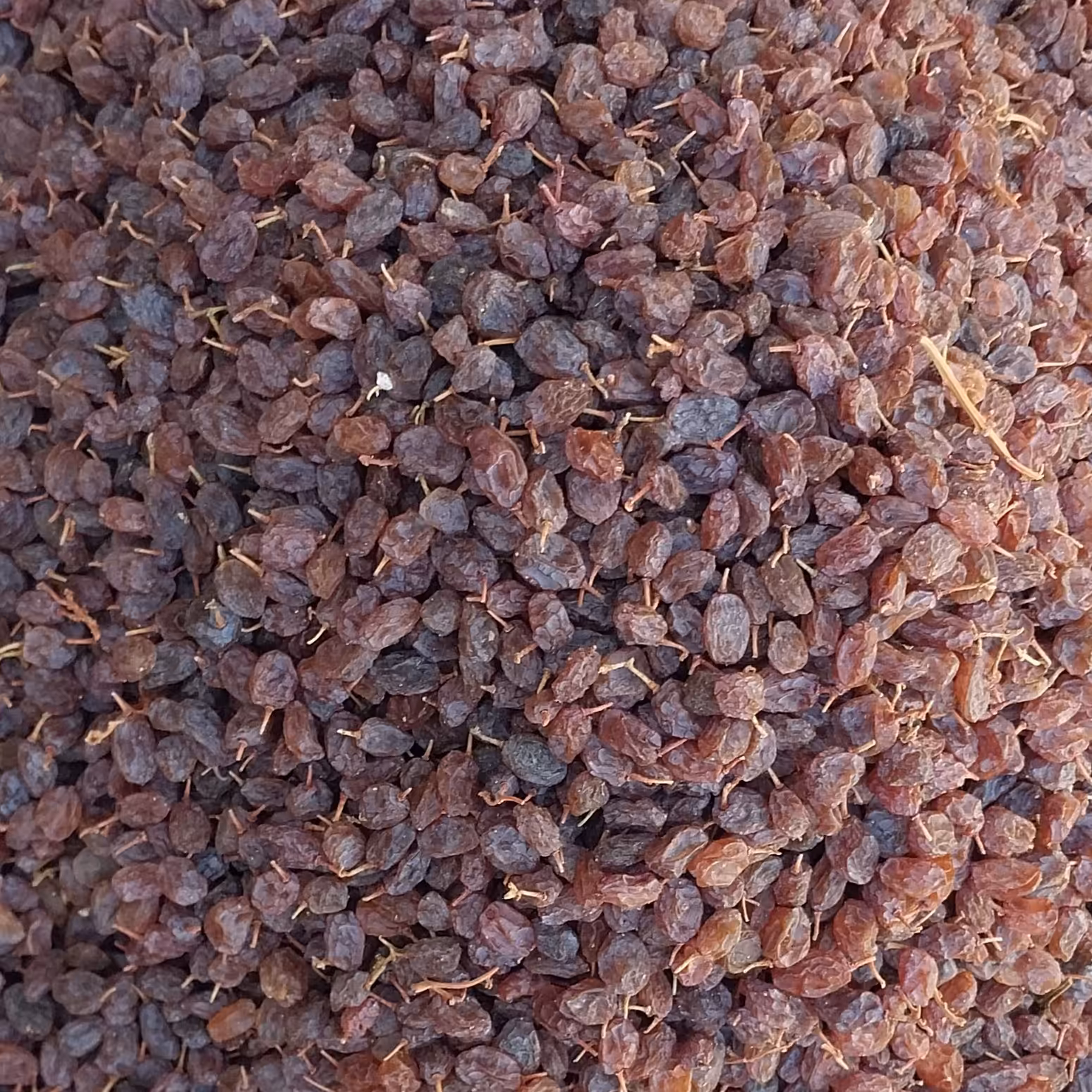 کشمش اعلای آفتابی  دو کیلویی