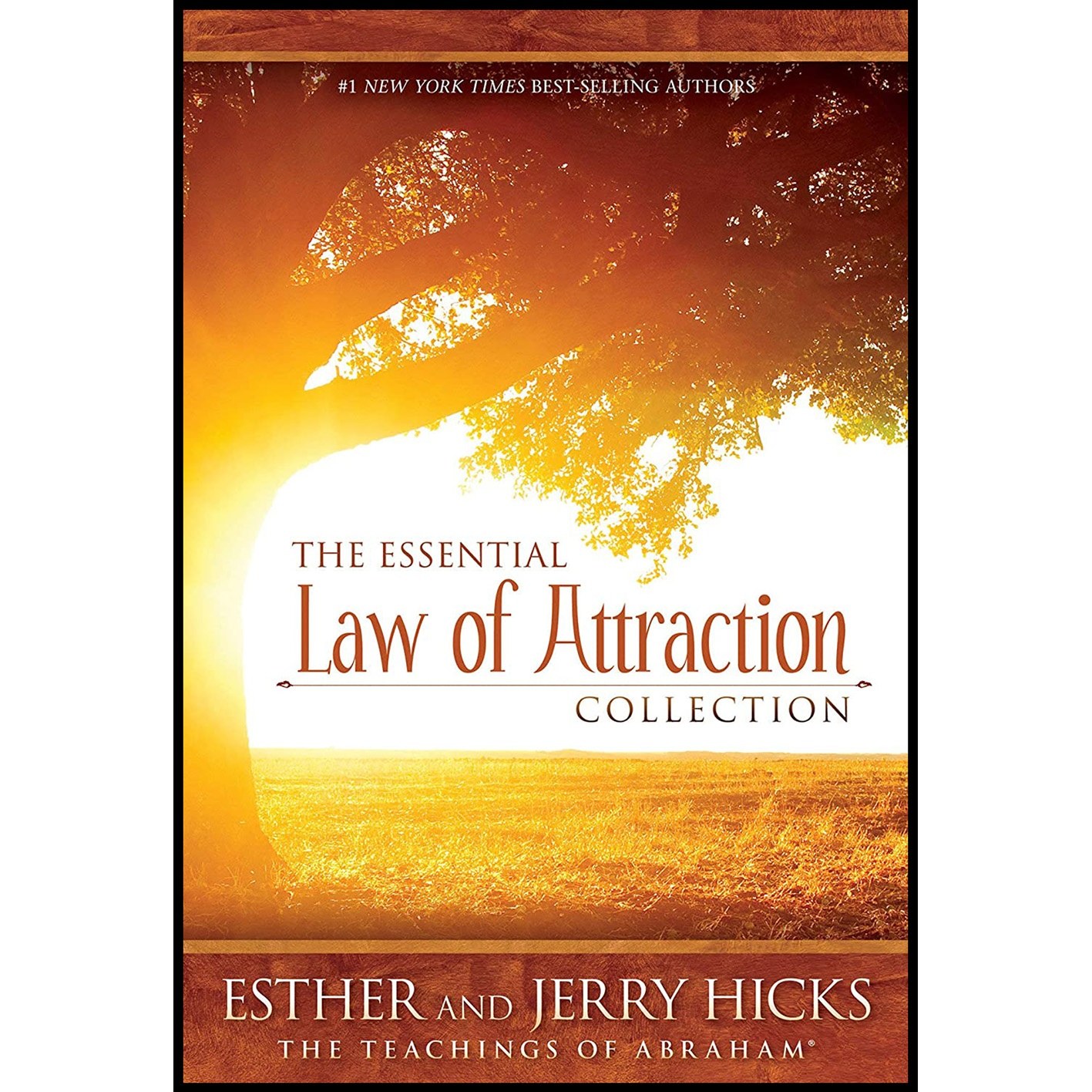 کتاب زبان اصلی The Essential Law of Attraction Collection انتشارات Hay House Inc