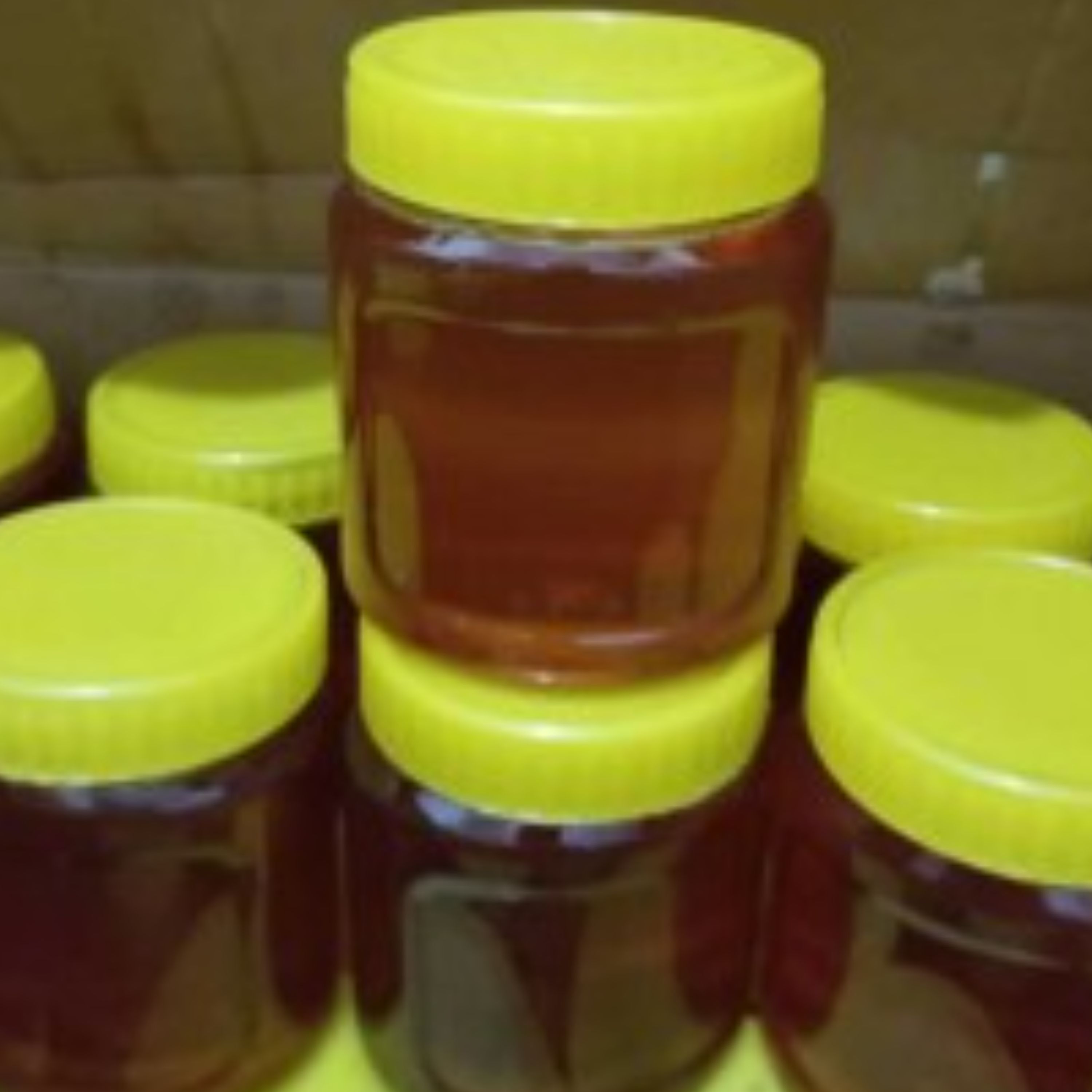 عسل یک کیلویی چند گیاه چهل چشمه (بدون رس گیری)