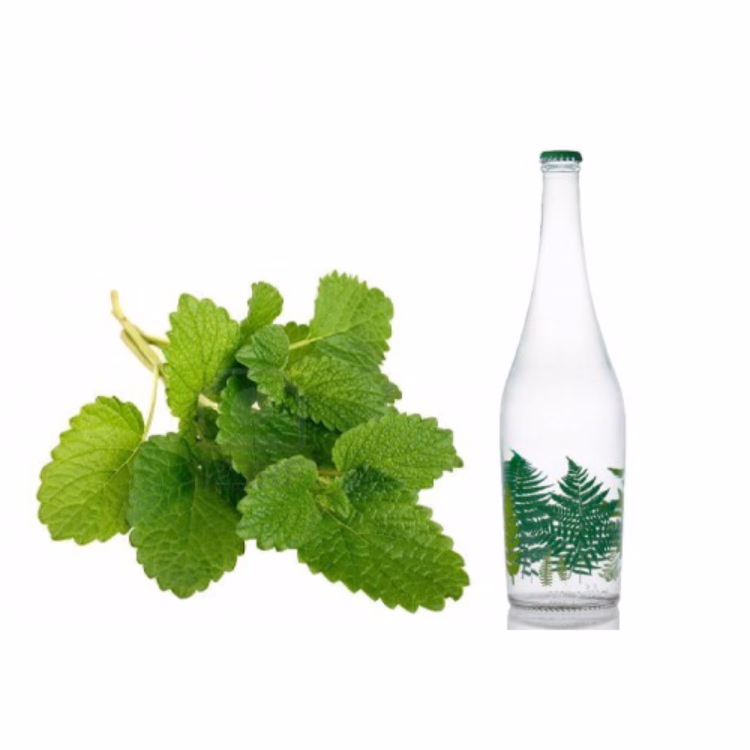 عرق بادرنجبویه 850 سی سی