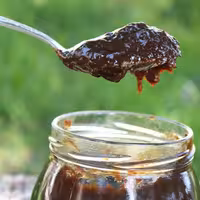 رب الوچه جنگلی ترش و خوشمزه بدون افزودنی کاملا ارگانیک 