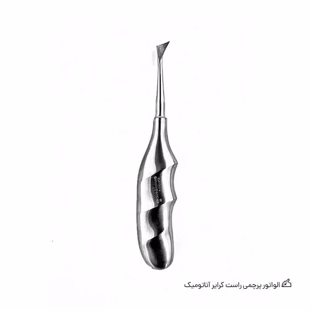 الواتور پرچمی راست کرایر آناتومیک