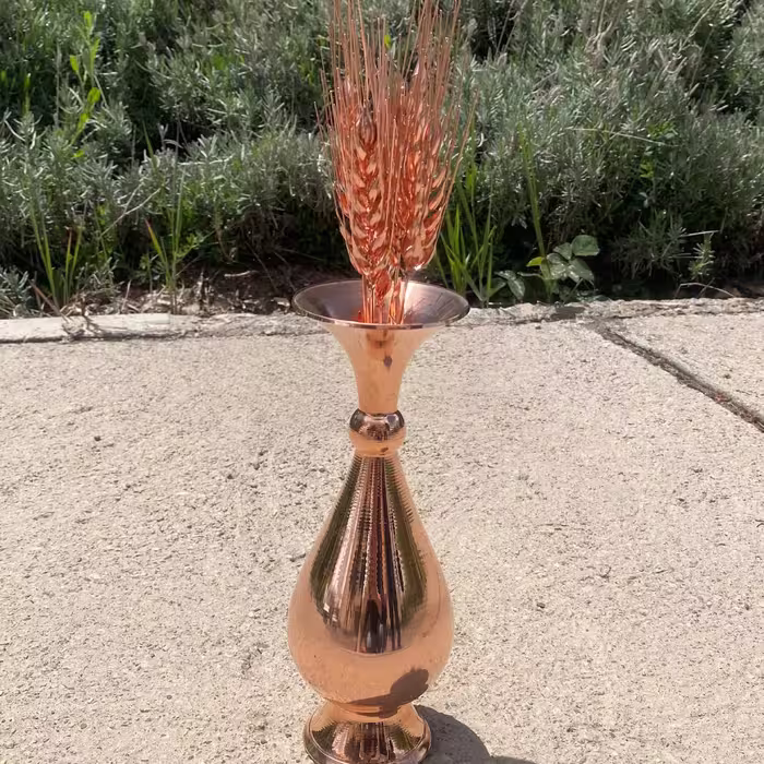 گندم مسی
