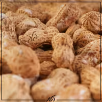 بادام زمینی غلاف داربدون نمک آراز یک کیلوگرم