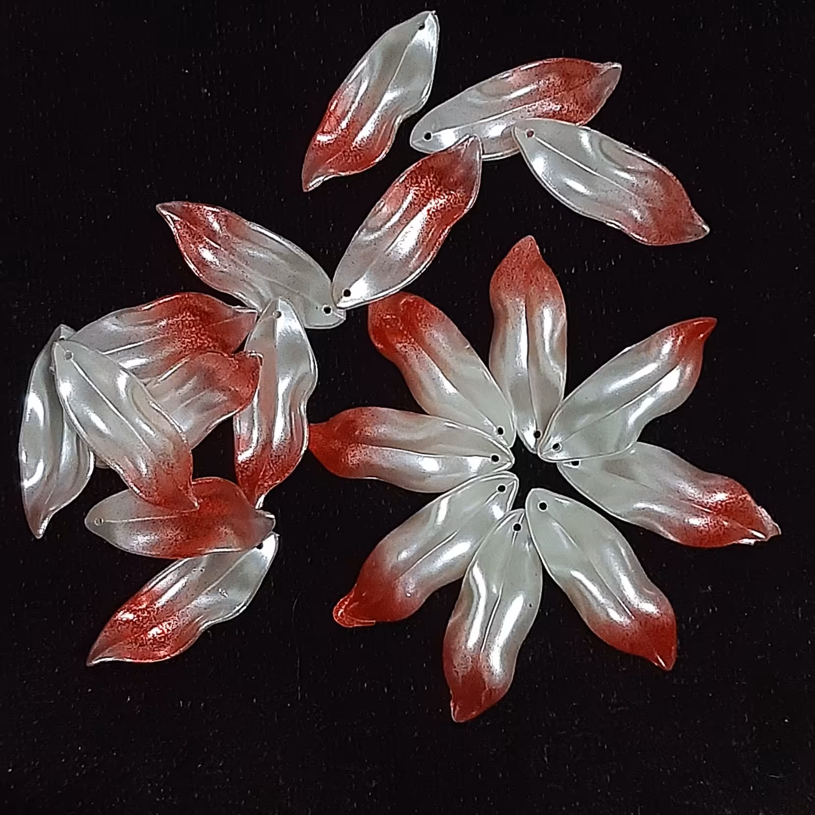 گل کریستال . وارداتی . صدفی 