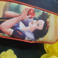 جامدادی بزرگ