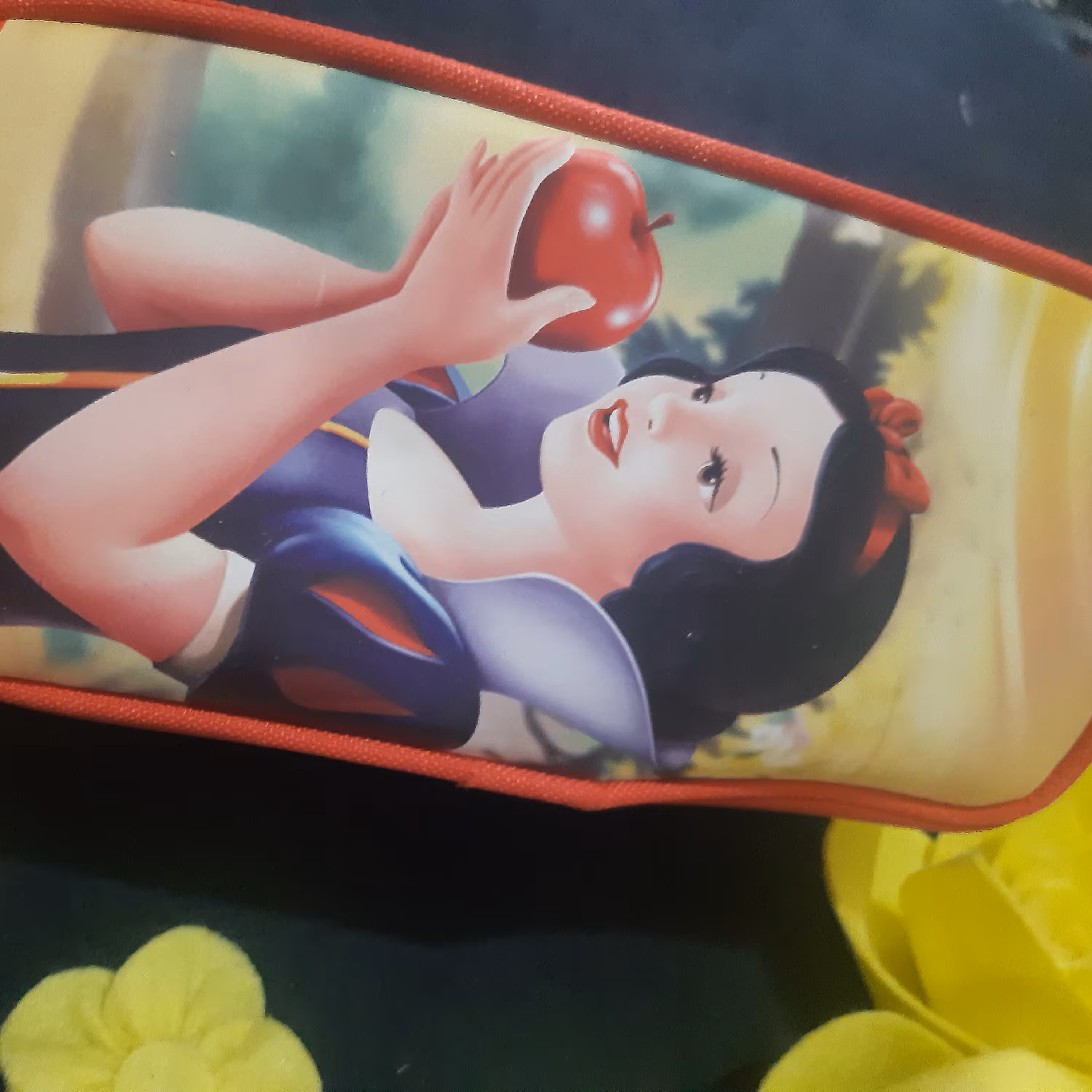 جامدادی بزرگ