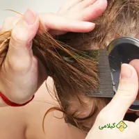 ضد شپش فروشگاه گیلامی ( پکیج 3 عدد محصول )