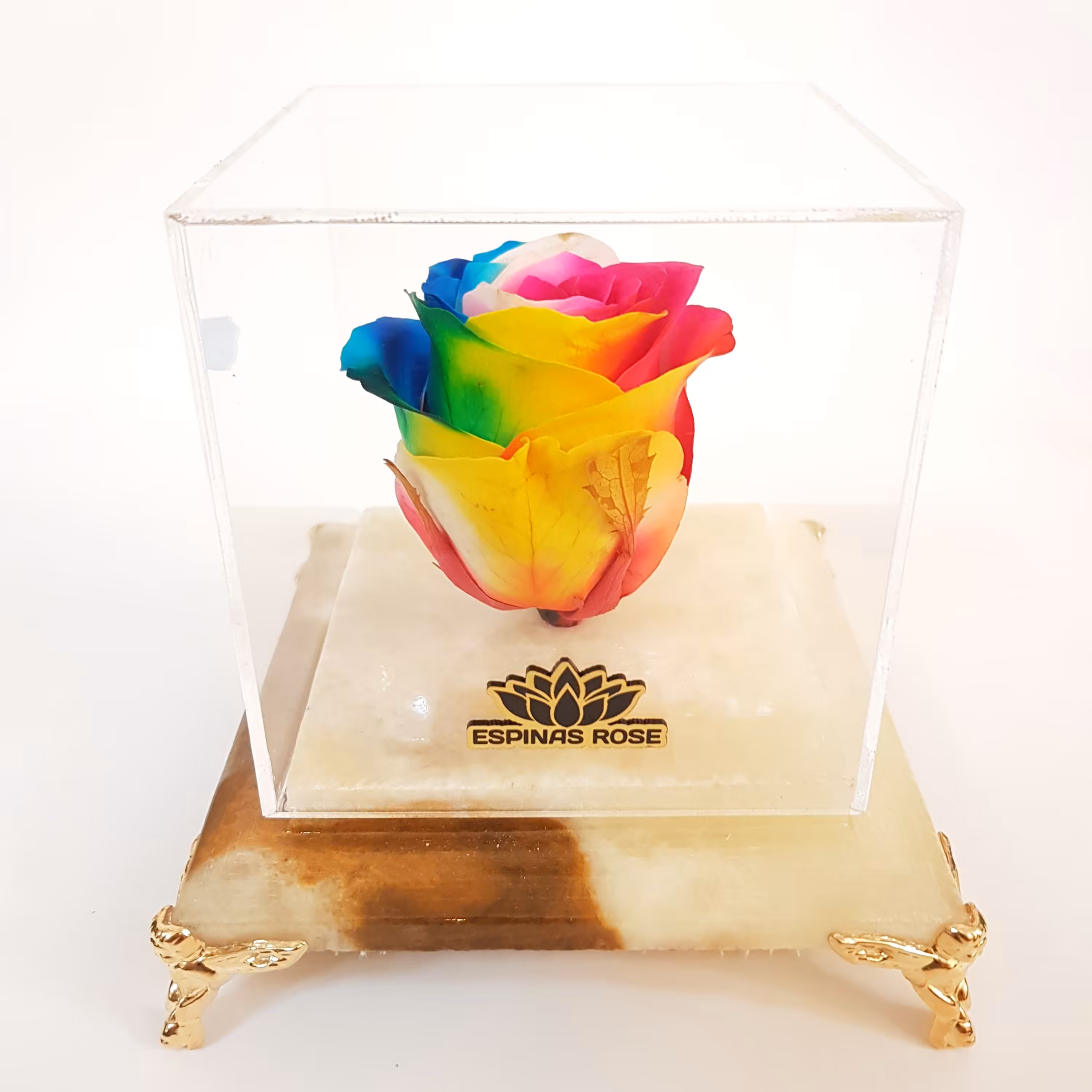 گل رز جاودان پایه سنگ با گل هفت رنگ همراه کاور و روبان و گیفت