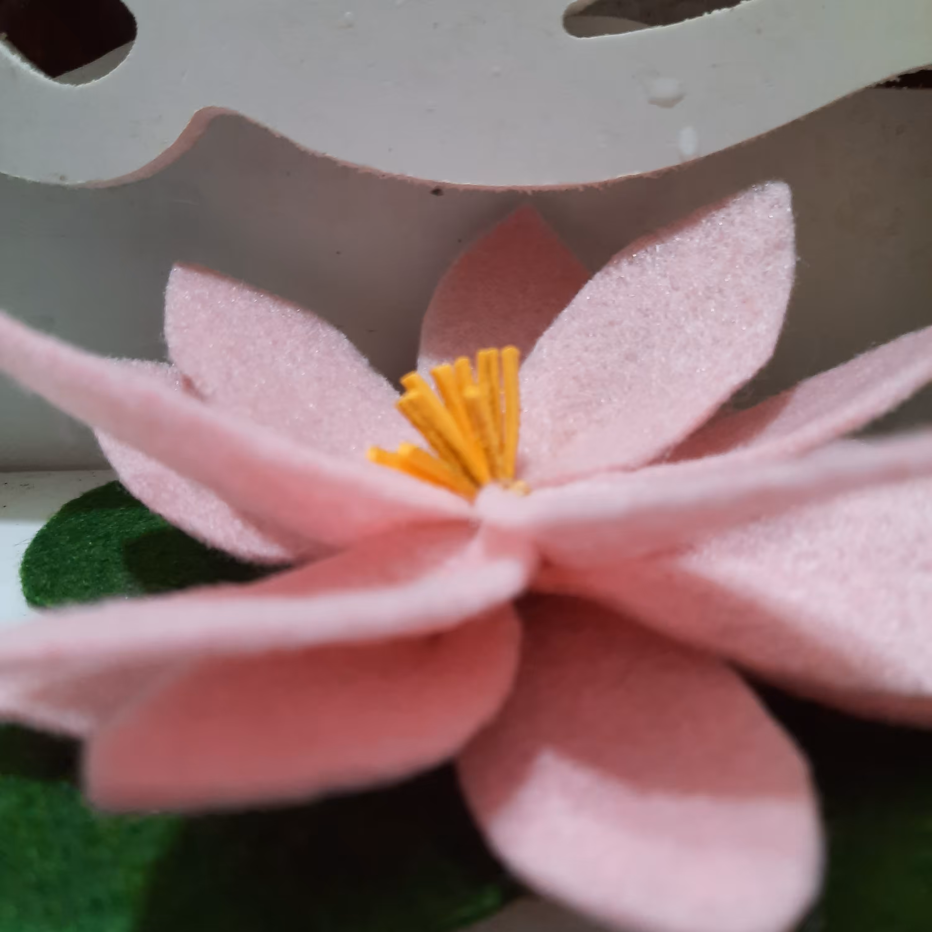 نیلوفر آبی نمدی