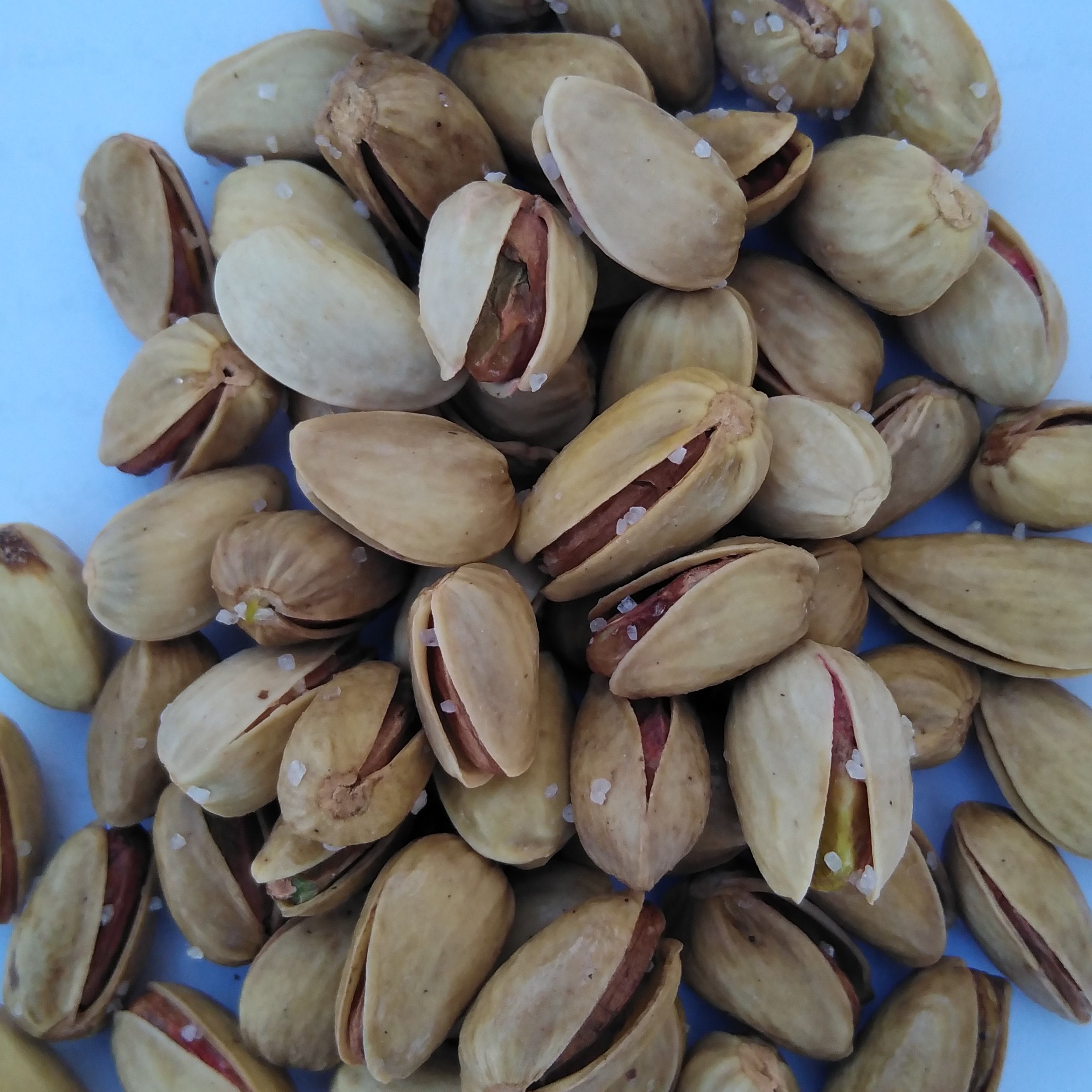 پسته شور اکبری از رفسنجان تازه وزن 5 کیلو