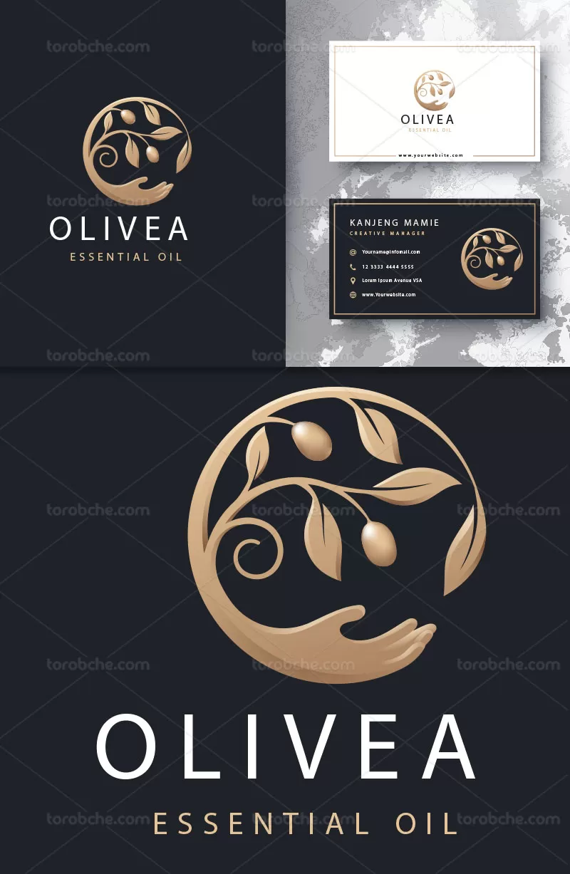 وکتور لوگوی زیتون لوکس | گرافیک با طعم تربچه