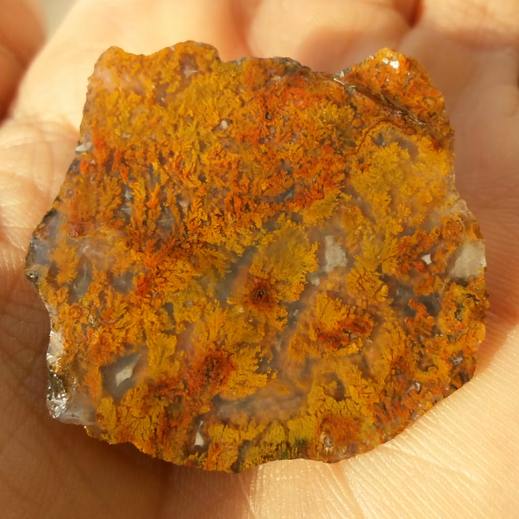 سنگ راف عقیق شجر منظره پاییزی دیدنی کاملا طبیعی شااهکار خلقت زیباااا خااااااص