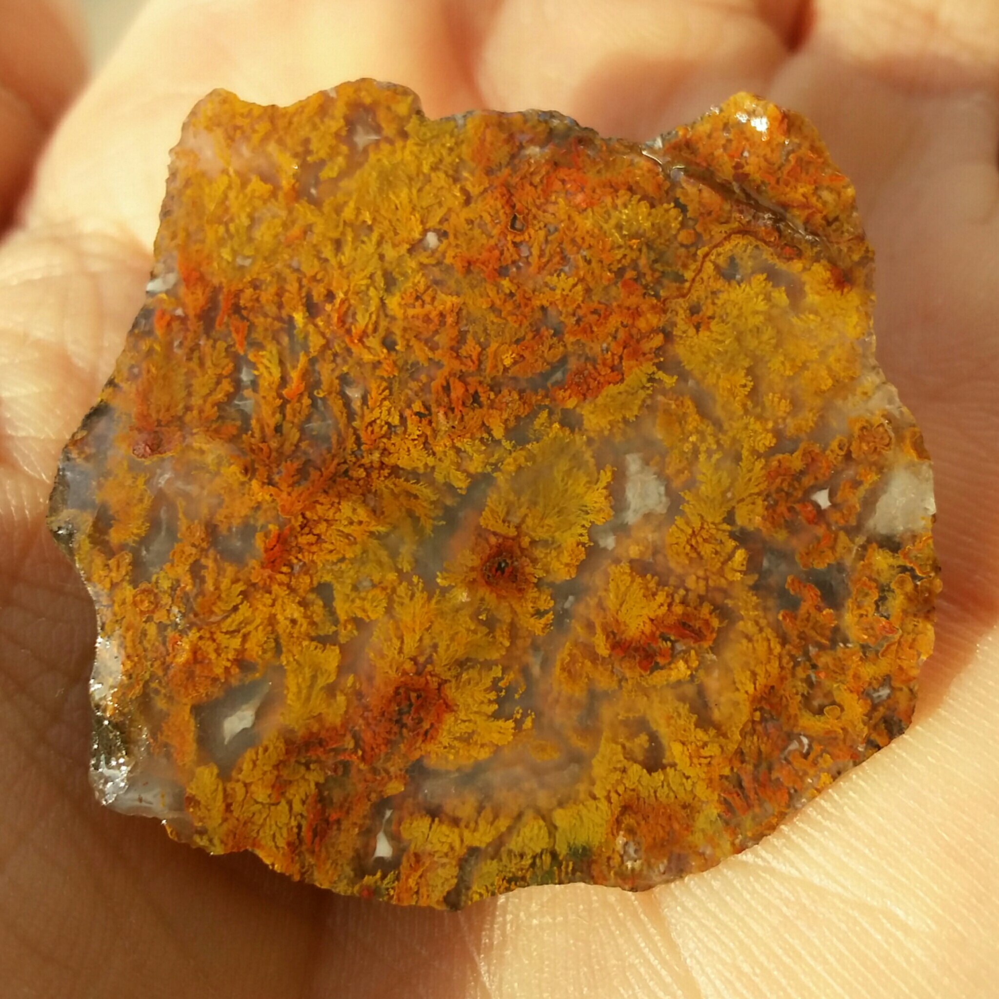 سنگ راف عقیق شجر منظره پاییزی دیدنی کاملا طبیعی شااهکار خلقت زیباااا خااااااص