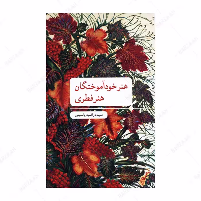 کتاب هنر خودآموختگان (هنر فطری) اثر راضیه یاسینی انتشارات علمی و فرهنگی