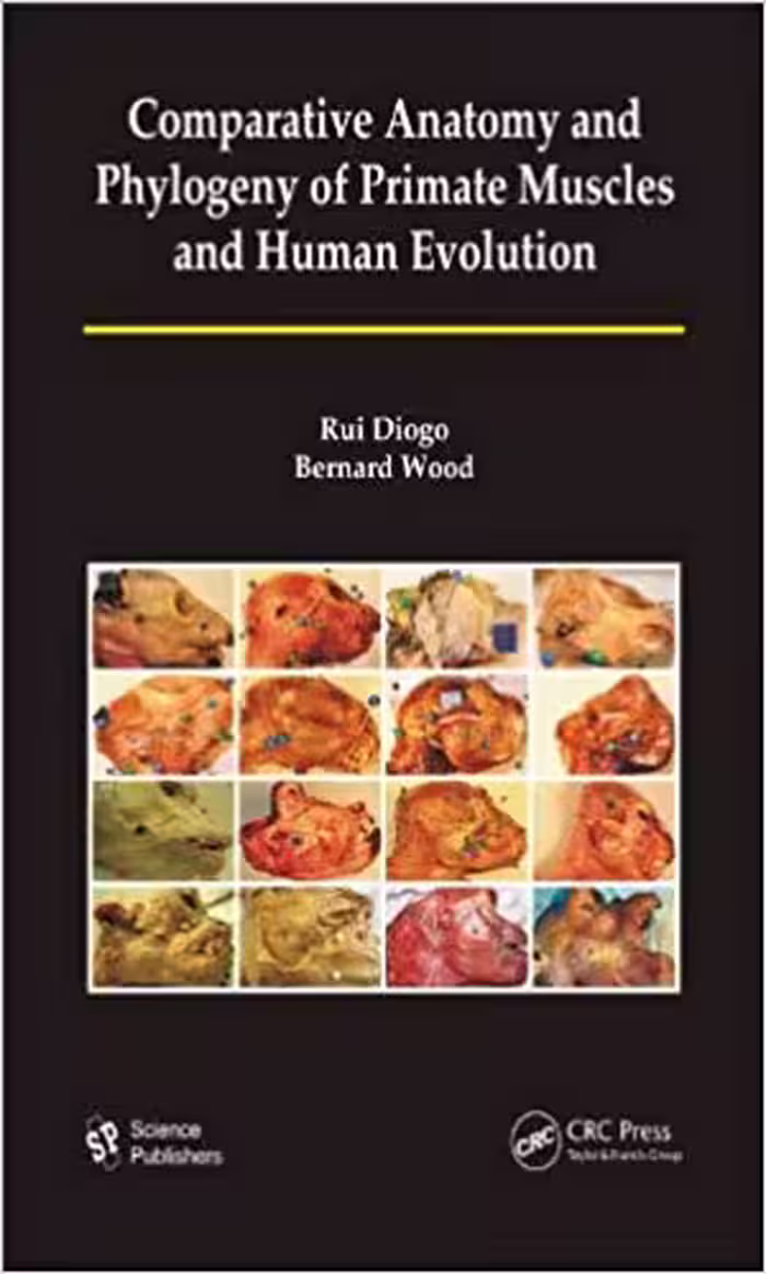 󾕇 دانلود کتاب Comparative Anatomy And Phylogeny Of Primate Muscles And Human Evolution, 2012 - دانلود کتاب های دانشگاهی