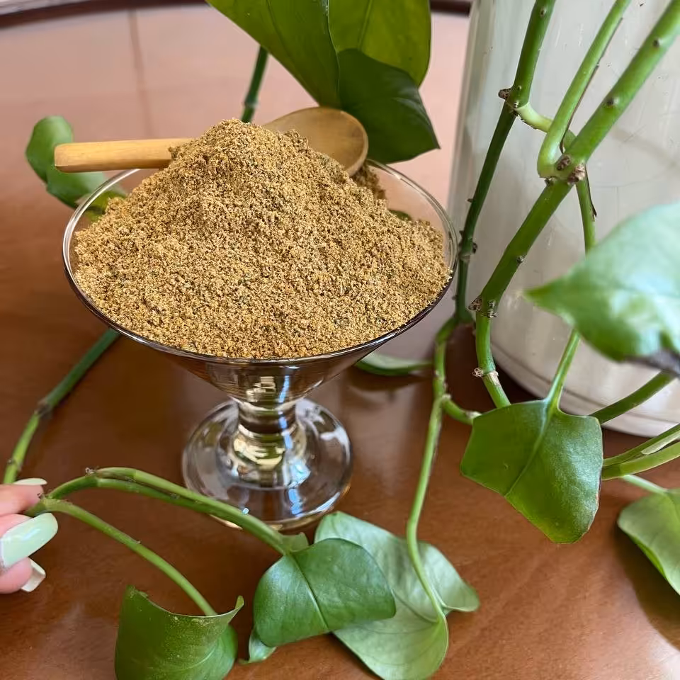 ادویه کتلت بسته 100 گرمی