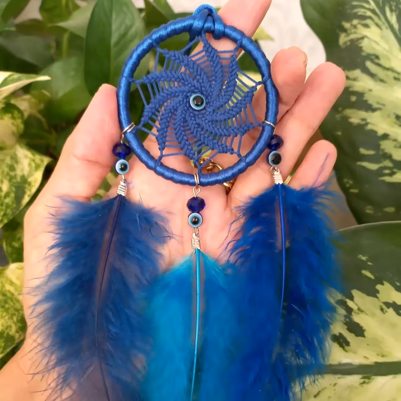 دریم کچر  چشم و نظر  