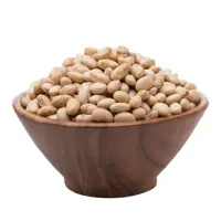 سویا برشته (2000 گرم) آنلاین استور