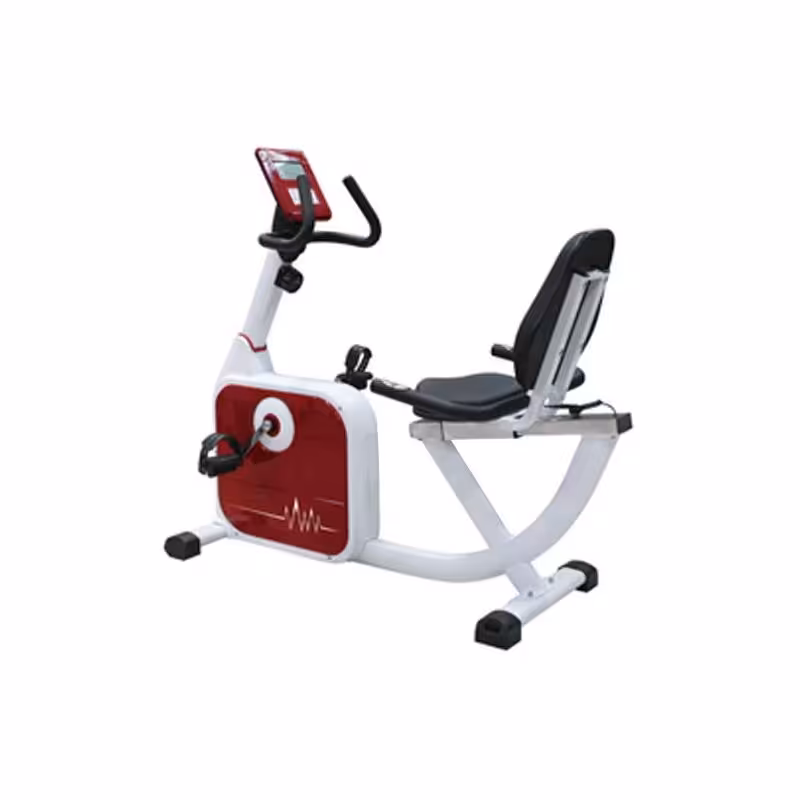 دوچرخه ثابت دی کی سیتی RK100