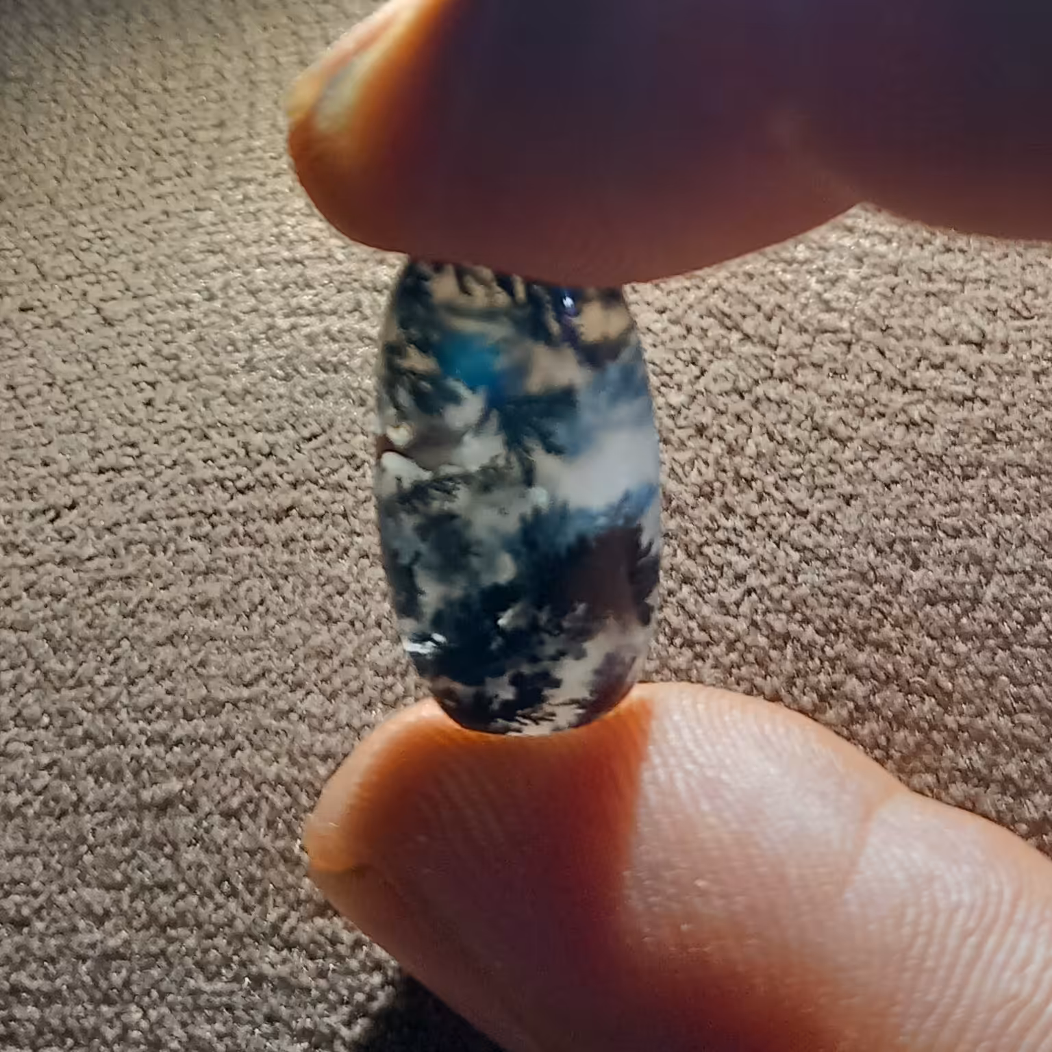 نگین شجر قائن زیبا