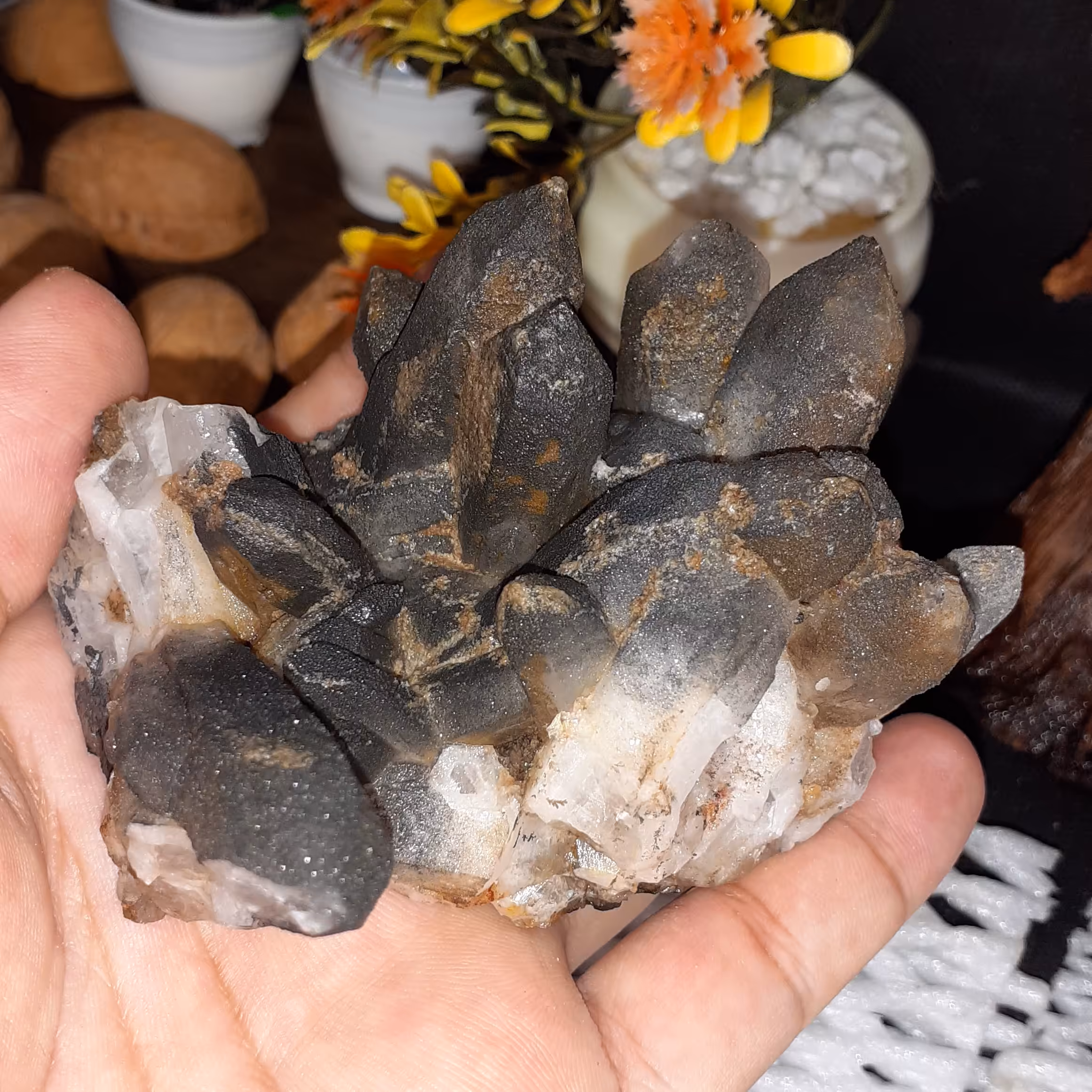 سنگ راف کلکسیونی کلاستر کوارتز  با بلور  دودی اکلیلی وخاص و کمیاب زیبای مناسب دکور و کلکسیون