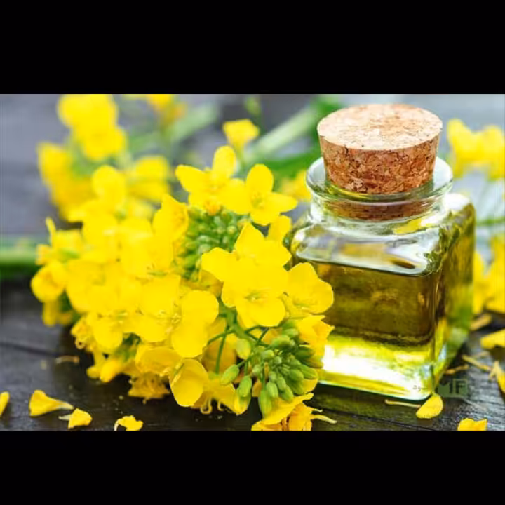 روغن گیاه دم اسب 👌