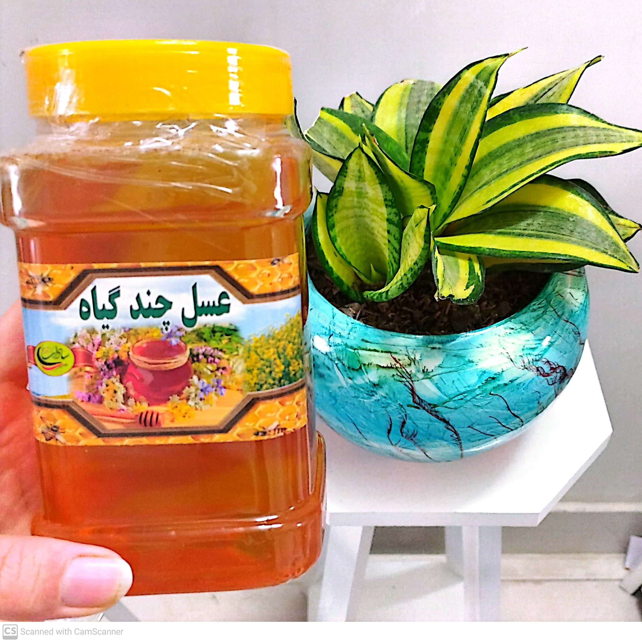 عسل چهل گیاه درمانی یک کیلوگرم مستقیم از زنبوردار