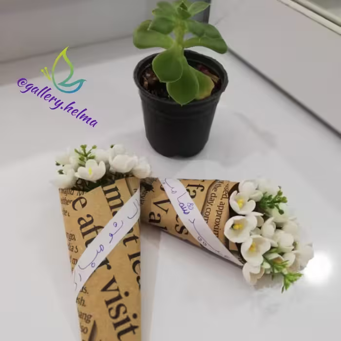 پک گیفت عیدانه بابونه ای