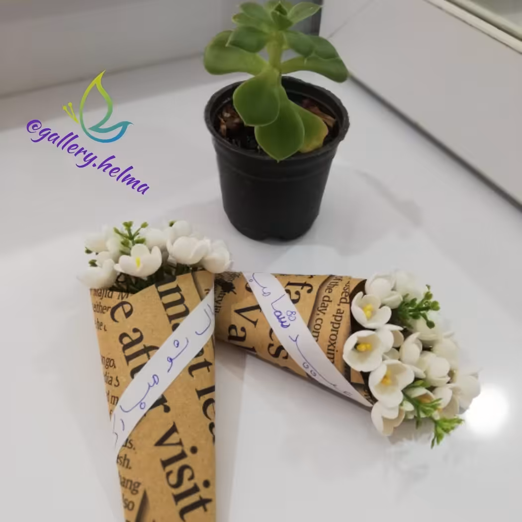 پک گیفت عیدانه بابونه ای
