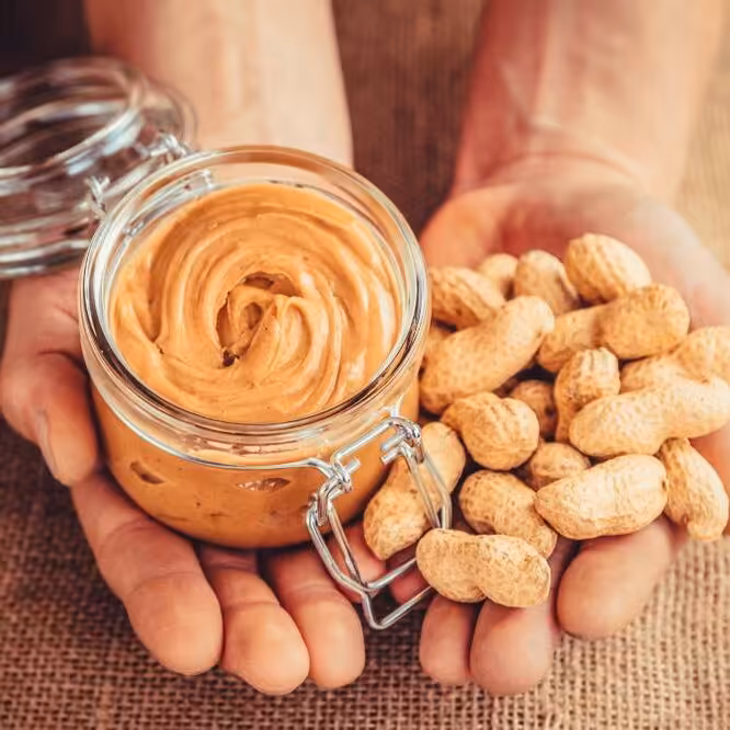 کره بادام زمینی ممتاز (10000 گرمی)