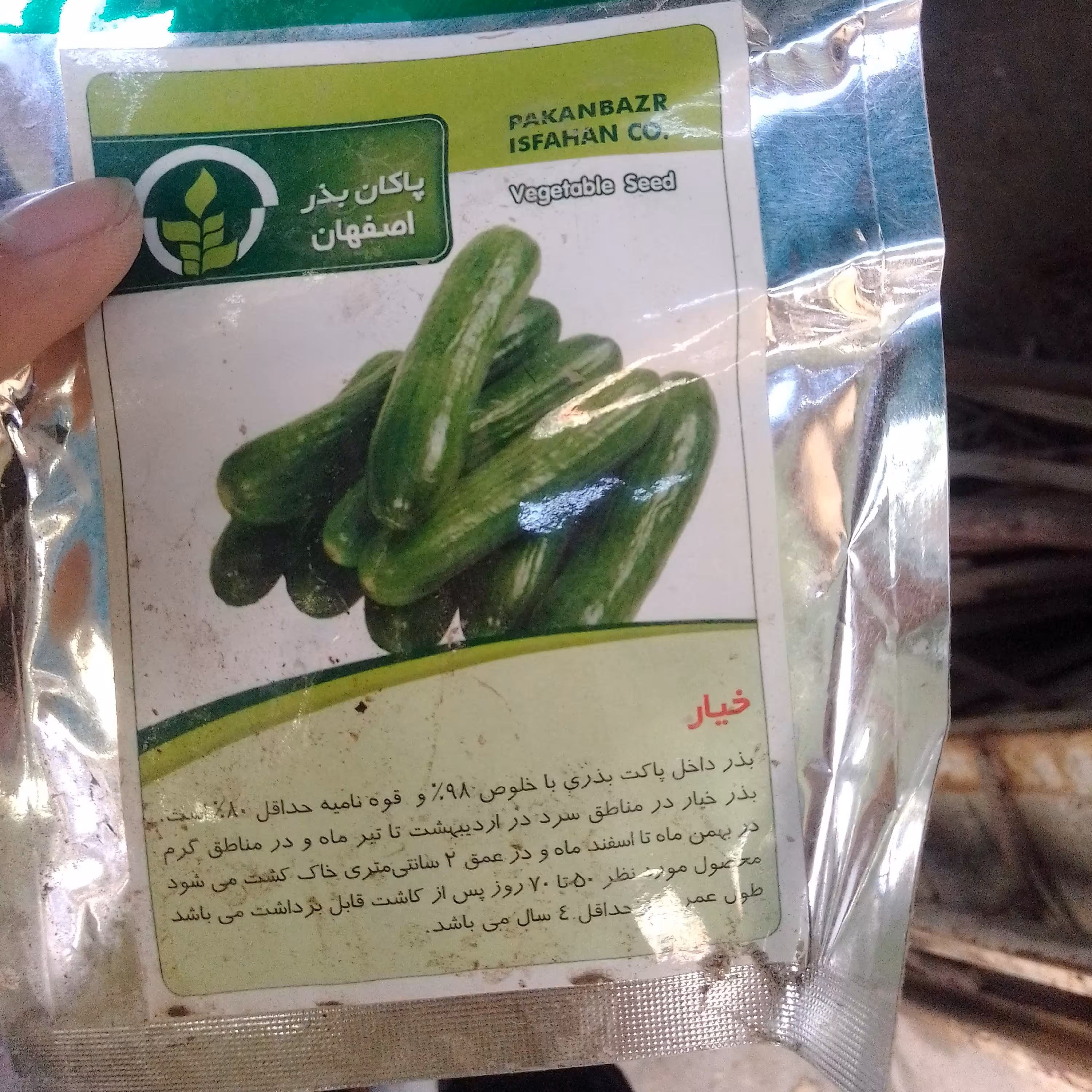بذر خیار 