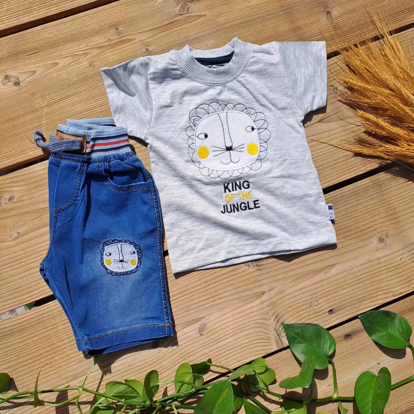 ست تیشرت شلوارک پسرانه