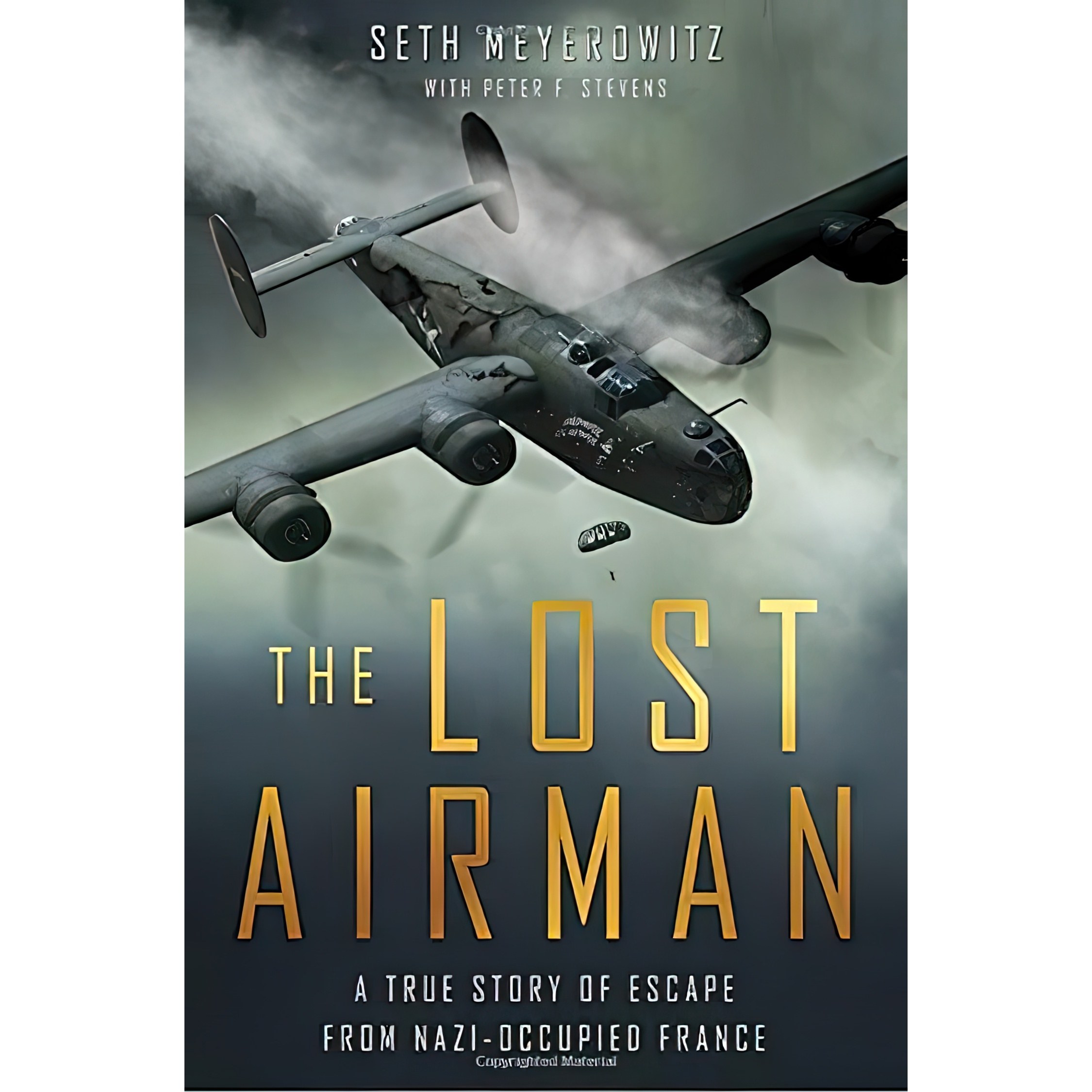 کتاب زبان اصلی The Lost Airman اثر Seth Meyerowitz and Peter Stevens