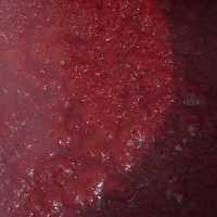 رب فلفل دلمه ای