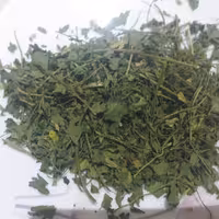 سبزی جعفری خشک خوش طمع و ارگانیک از بهترین و با کیفیت ترین محصولات  دهات (1000gr)