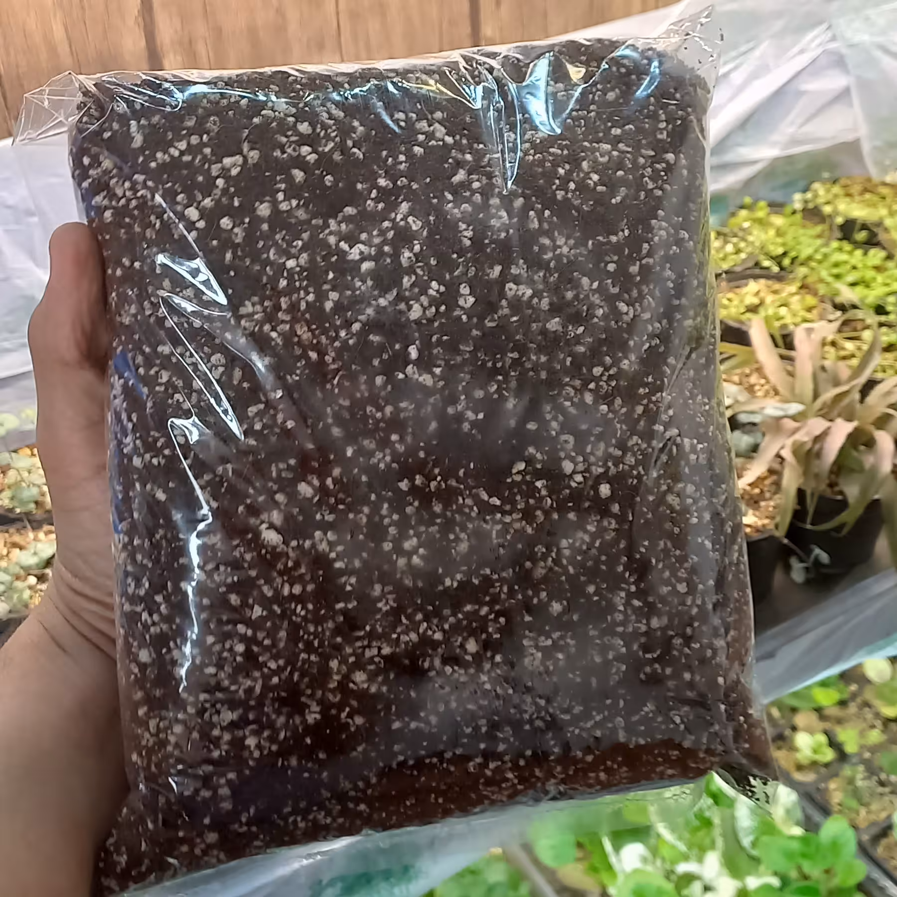 خاک گیاهان آپارتمانی (کوکوپیت و پرلیت) (پس کرایه)