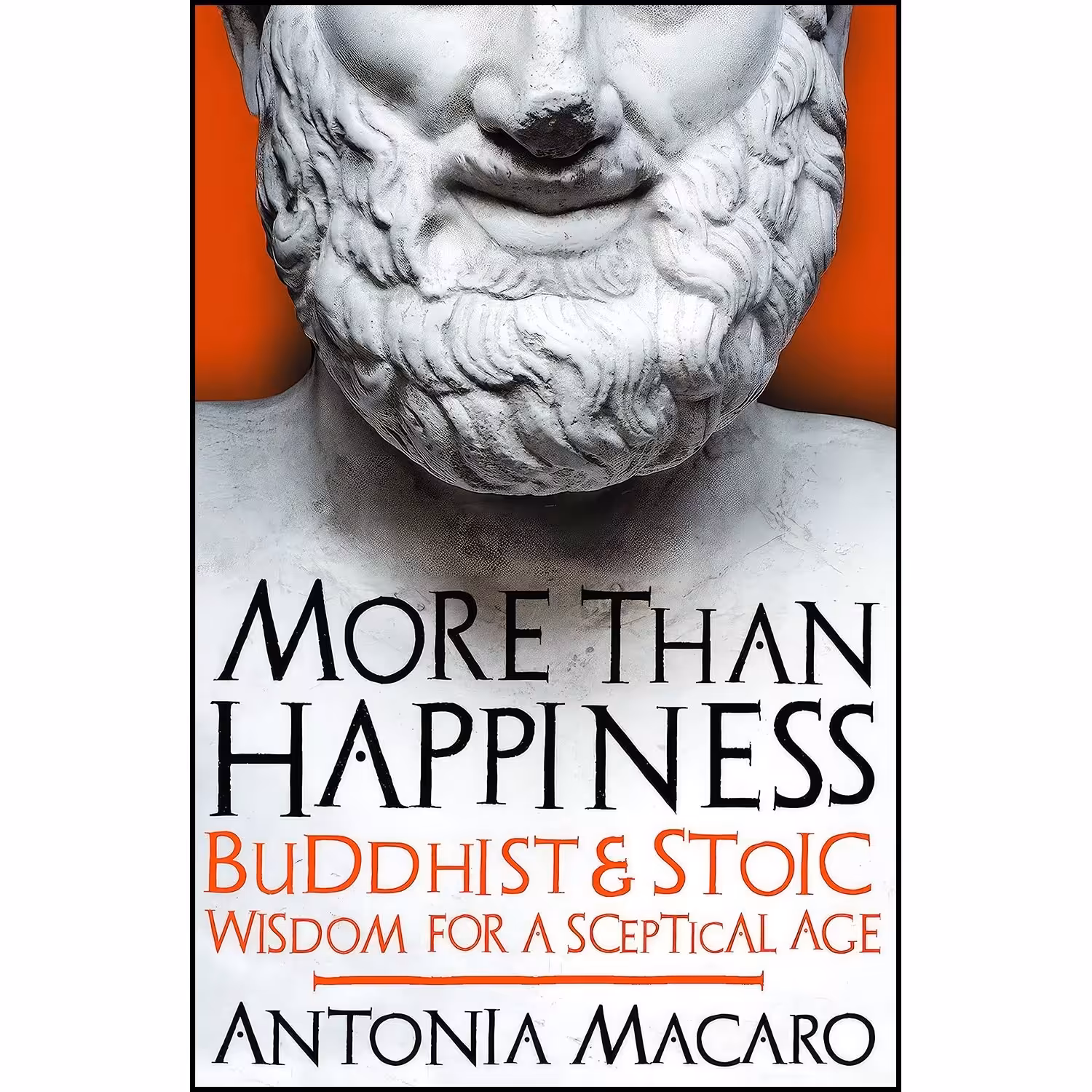 کتاب زبان اصلی More Than Happiness اثر Antonia Macaro انتشارات Icon Books