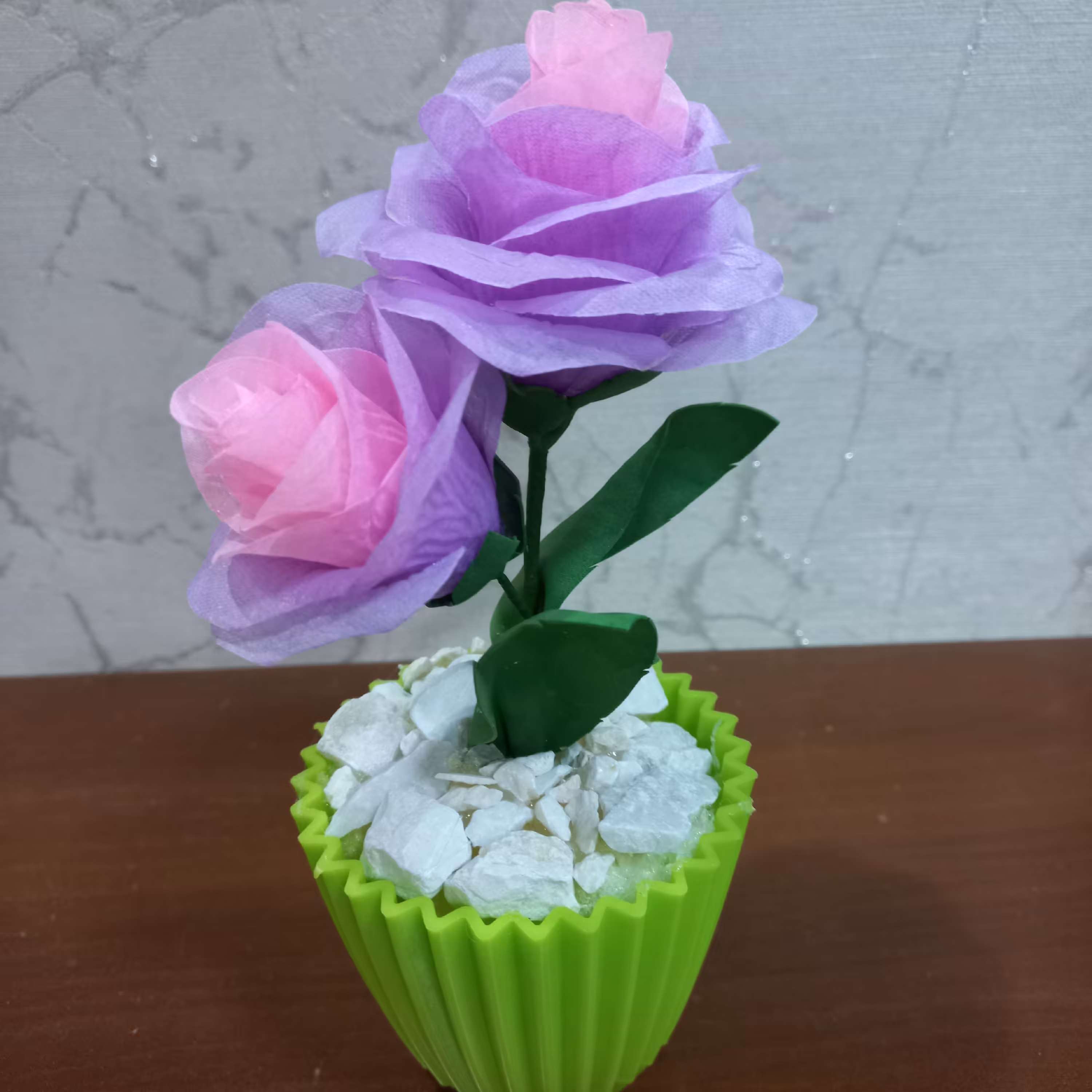 گلدان سبز گل رز