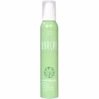 موس حالت دهنده مو آیلت(Ayelet Hair Mousse) حجم 200 میلی لیتر