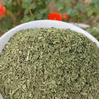 نعنا خشک فروشگاه آنلاین پرتقال(150گرم)