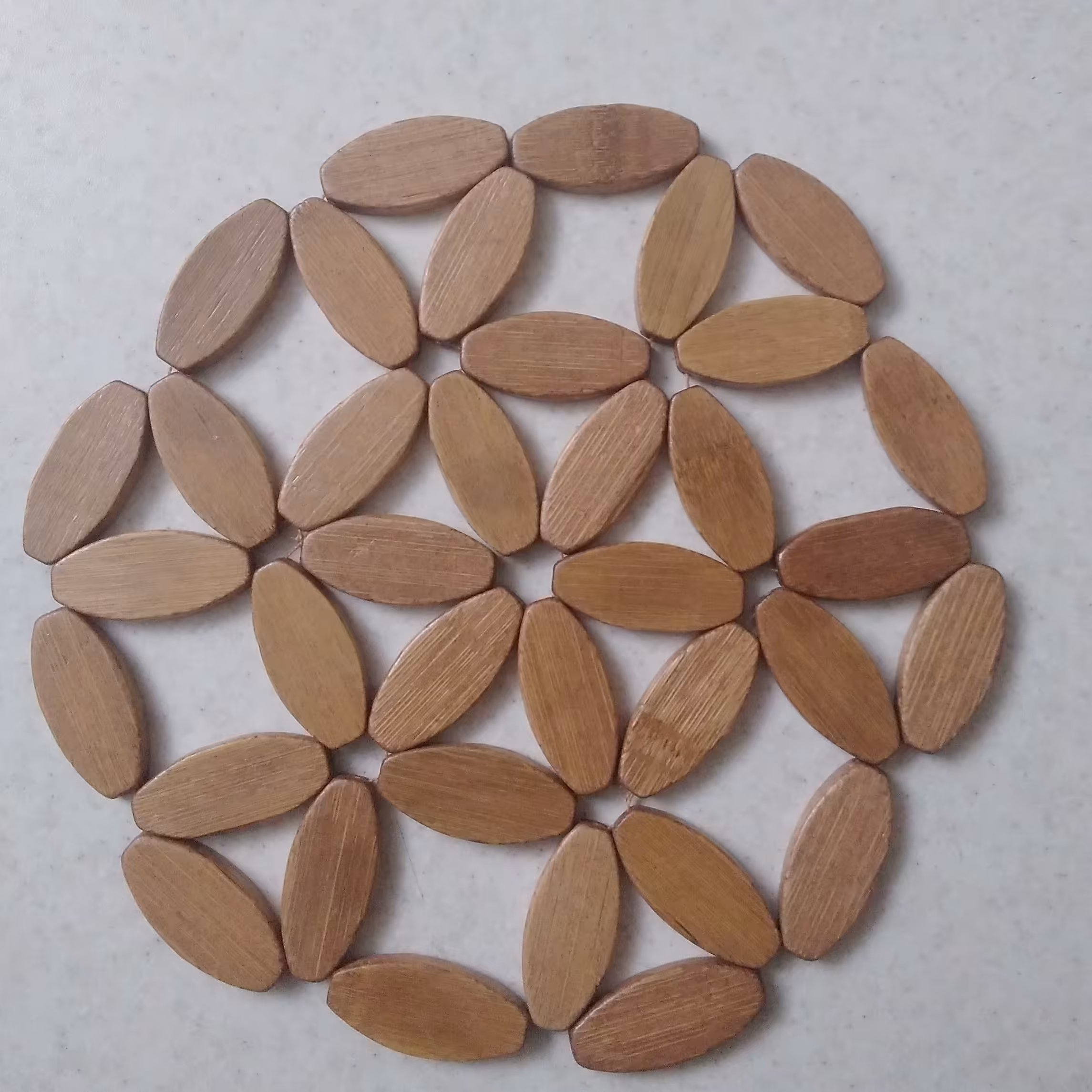 زیردیگی مهره ای