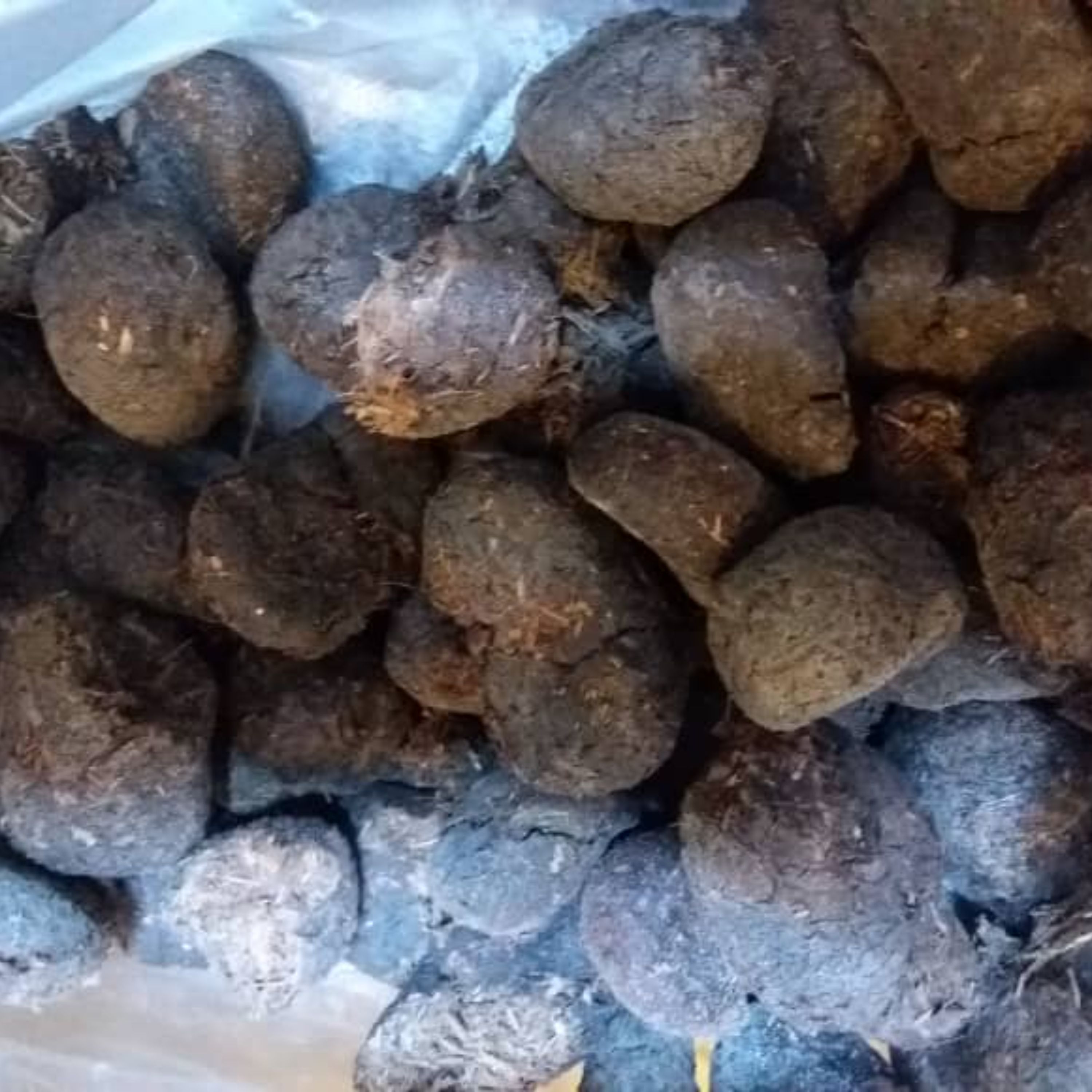 عنبر نسارا الاغ ماده خوراک گیاهان صحرایی برای بهبود انواع عفونت عرضه به صورت عمده در بسته های 10 کیلو