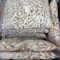 لوبیا کشاورزی باقالا قاتق
