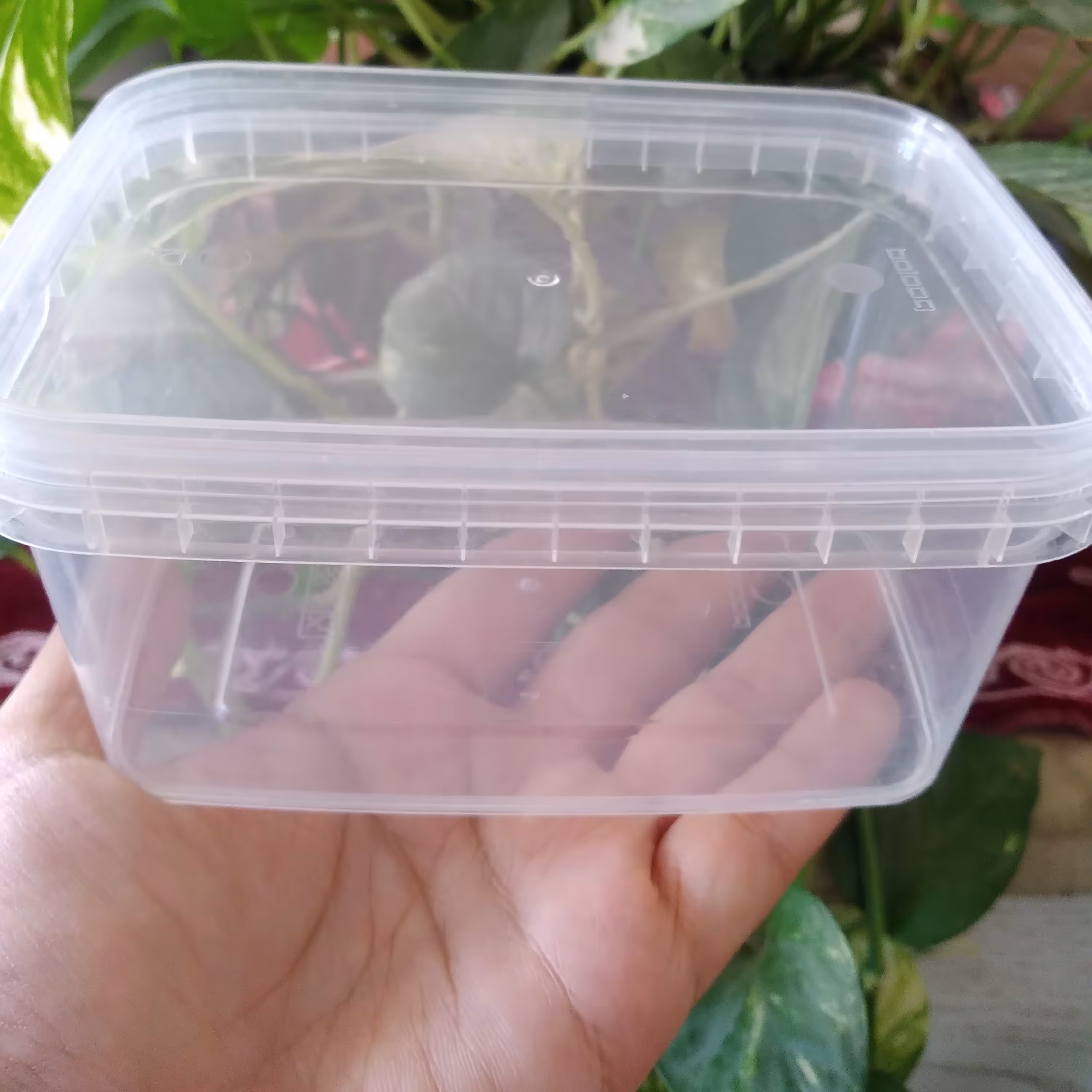 ظروف فریزری 800سی سی