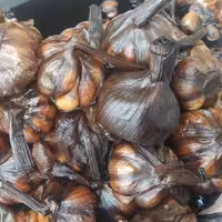 سیر ترشی طارم
4 ساله