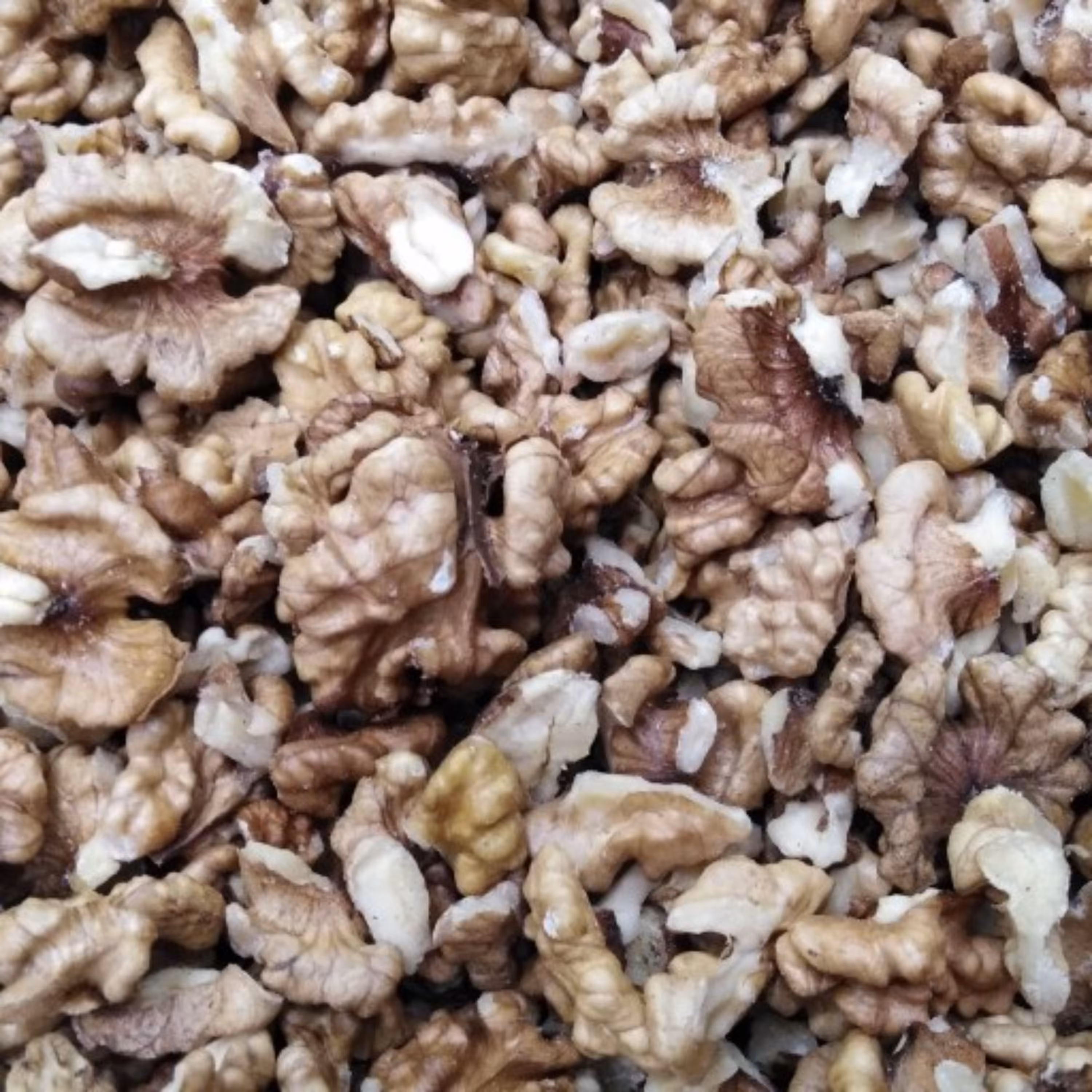 مغز گردو فسنجونی