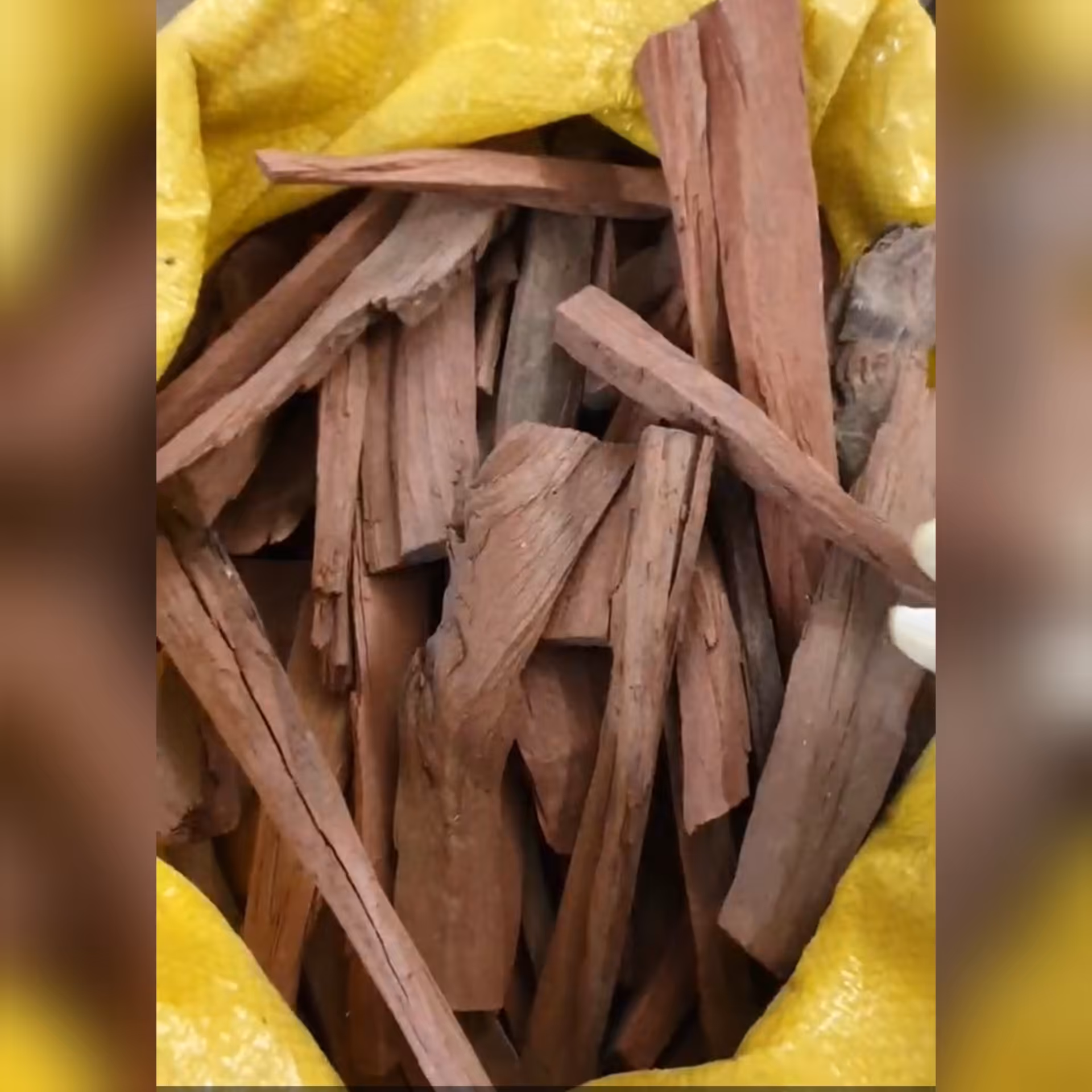 چوب صندل سرخ 100 گرم 