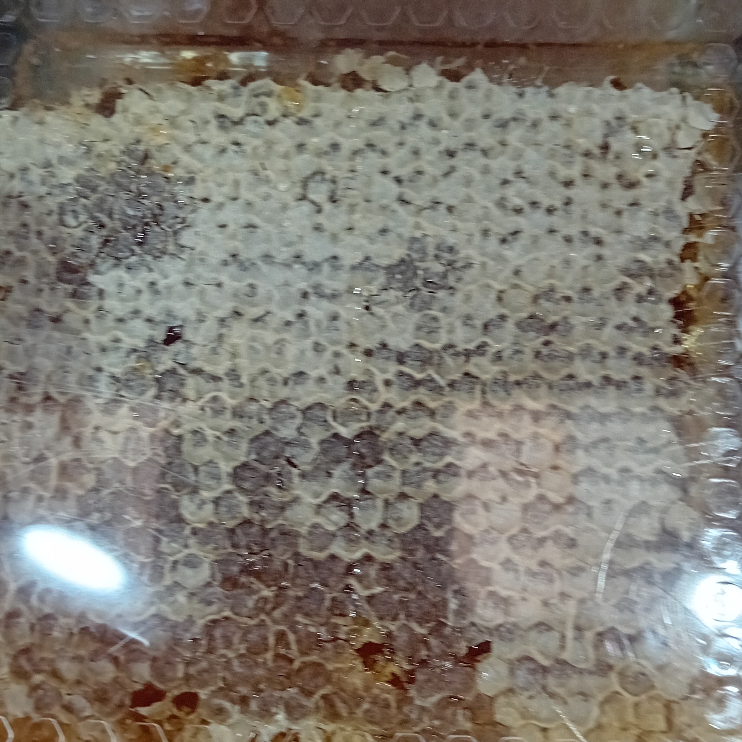 عسل چند گیاه موم دار بهاره (گل یخ سراب) در اندازه های ظرف کریستال به شکل مربع و در رنگ و طعم های مختلف