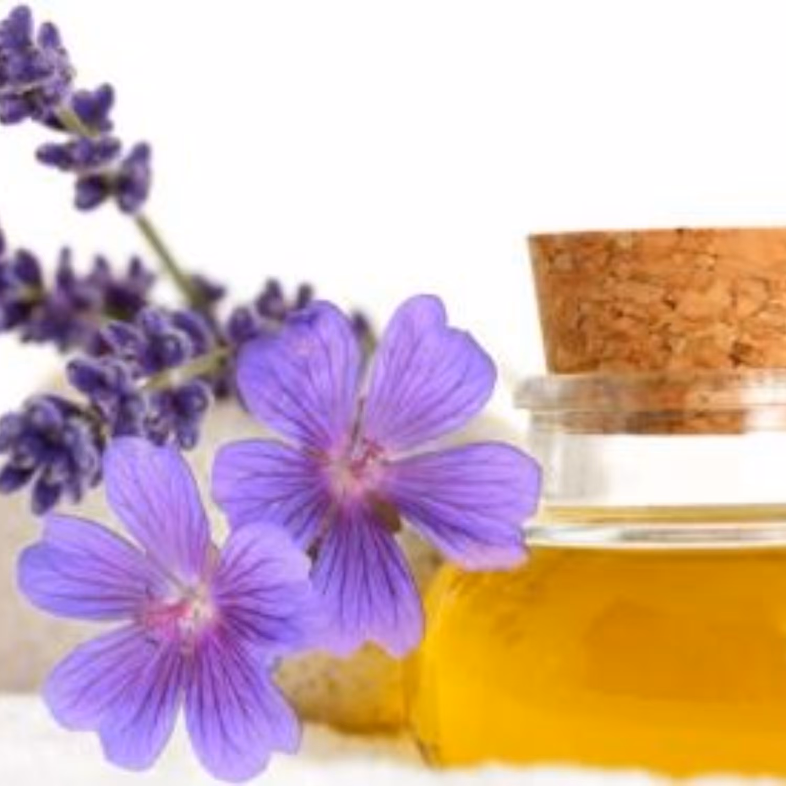 روغن بنفشه پایه زیتون اصل 65 سی سی